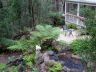 Forest setting with water feature