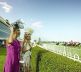 Spring Racing Carnival at Caulfield