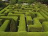 Ashcombe Maze & Lavender Gardens