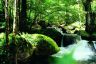 Yarra Ranges National Park