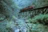 Train on the Walhalla Goldfields Railway, West Gippsland - Photographer: James Lauritz