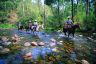 Howqua River - Victoria's High Country