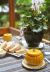 Pumpkin Soup