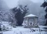 Snow scene