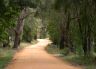 Country road