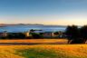 White Sands Estate
