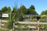 Blueberry B & B
