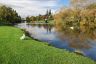 Meander River Reflections